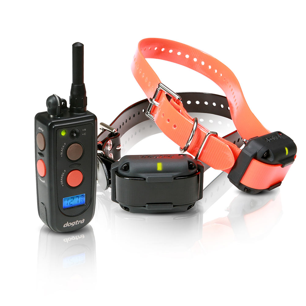 Training and Beeper 3/4 Mile 2 Dog Remote Trainer