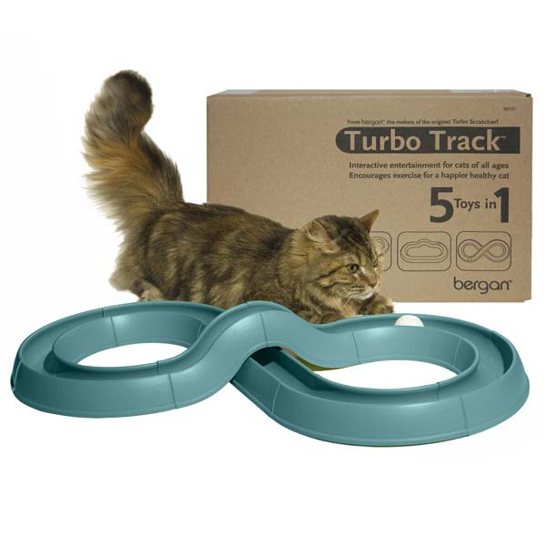 Turbo Track Cat Toy