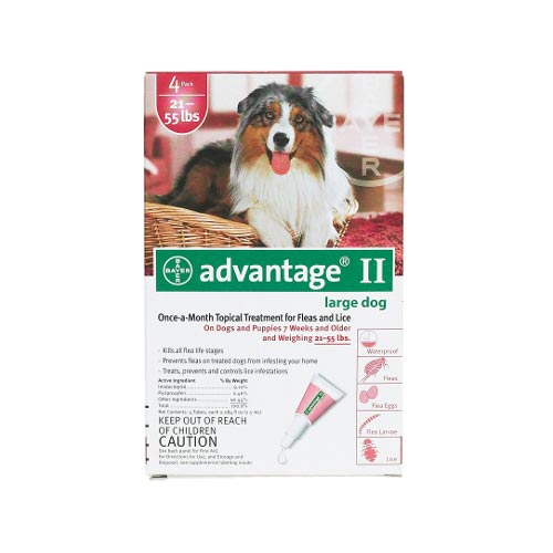 Flea Control for Dogs and Puppies 21-55 lbs 4 Month Supply